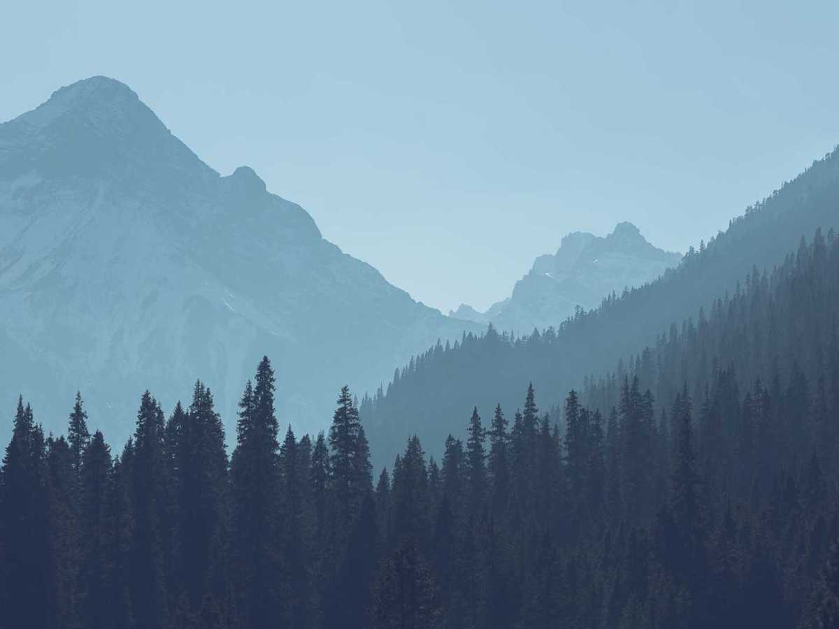 Was sind Premium CBD Tinkturen und wie funktioniert&nbsp;es?